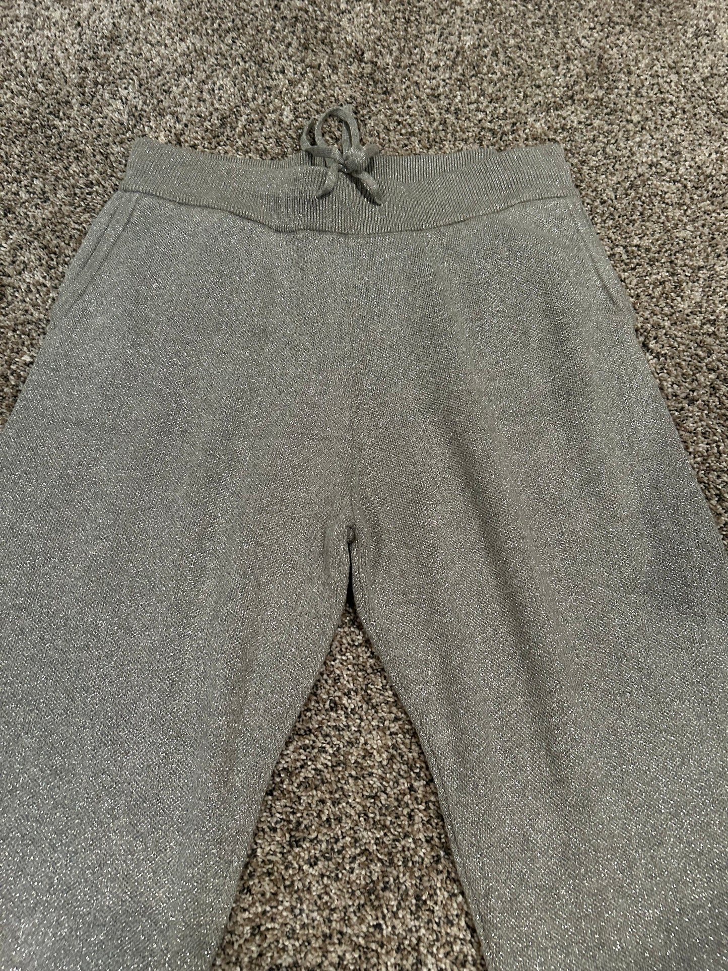 Revolve NEW Lovers and Friends Gray/Silver Joggers